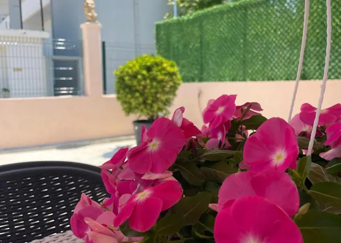 Dom wakacyjny Dori Wlora